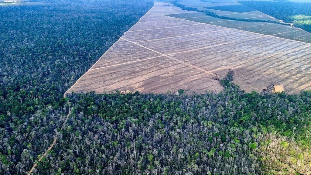 Eleição e o 'ponto de não retorno' dos biomas: compromissos ambientais do Brasil até 2030 estão ameaçados