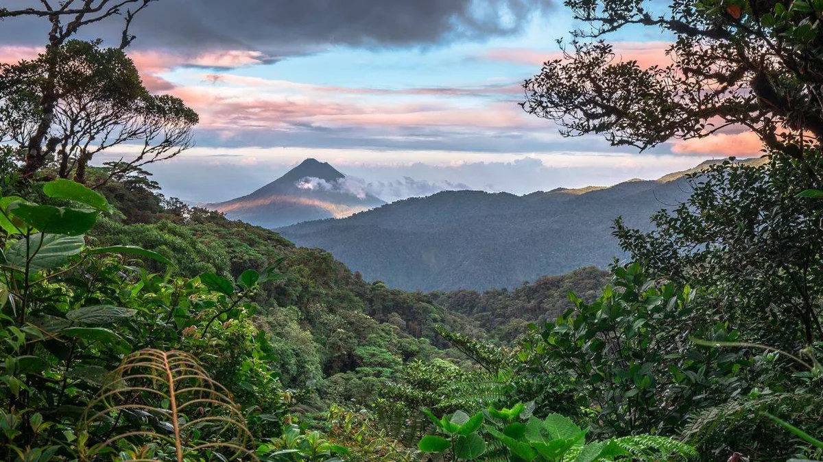 Costa Rica protected Monteverde in 1972 and the forest grew into a success story