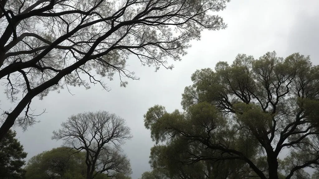 Hay alerta amarilla por viento zonda para este miércoles 26 de agosto en San Juan: las zonas afectadas