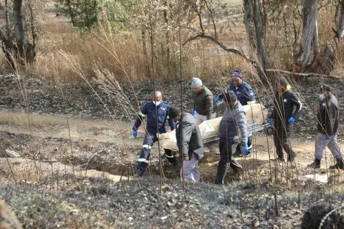 Four men found shot dead in Gqeberha as police launch investigation