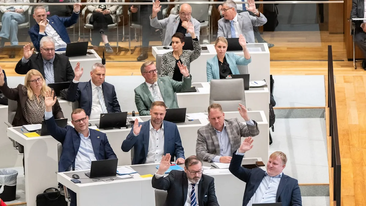Zu erfolgreich in Niedersachsen - AfD kann mehr als 230 Posten nicht besetzen