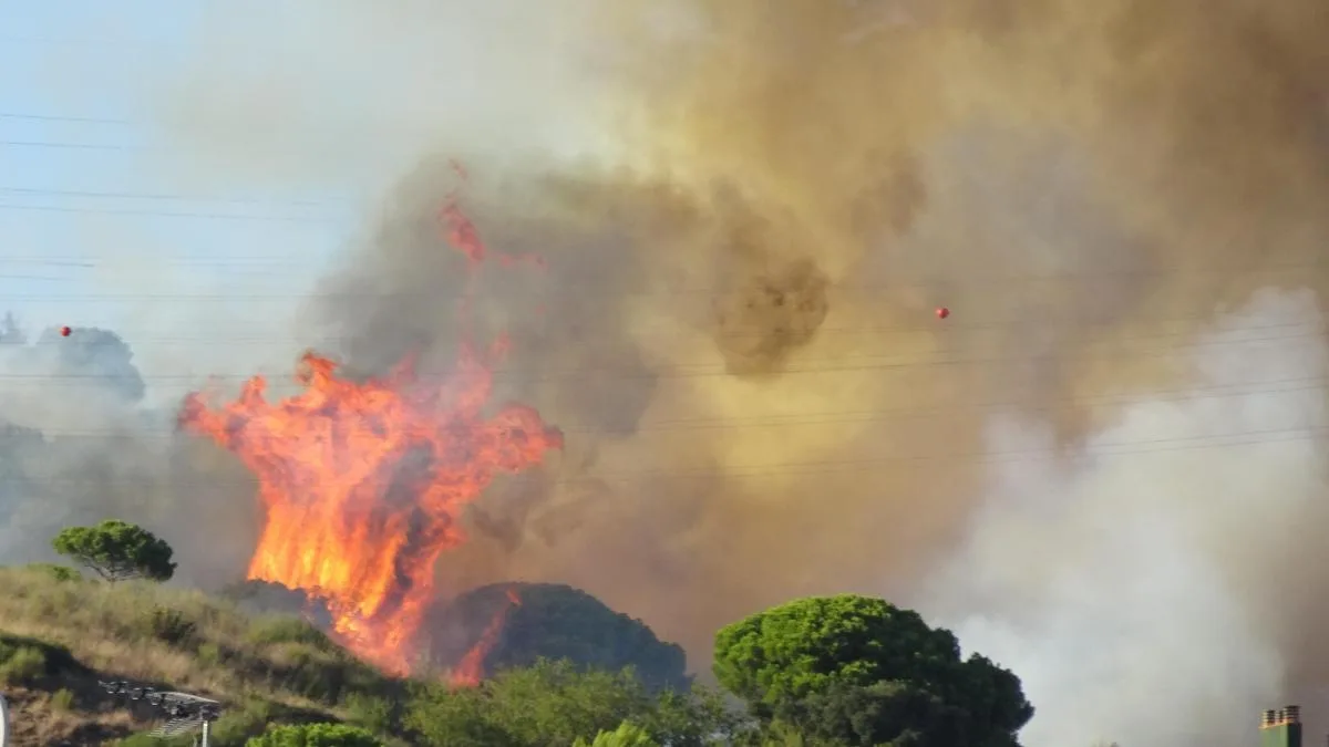 Los vecinos de Collserola expresan su rabia tras estabilizarse el incendio: “La montaña se respeta”