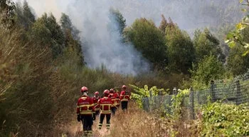 Temperaturas descem. Sete concelhos em perigo máximo de incêndio
