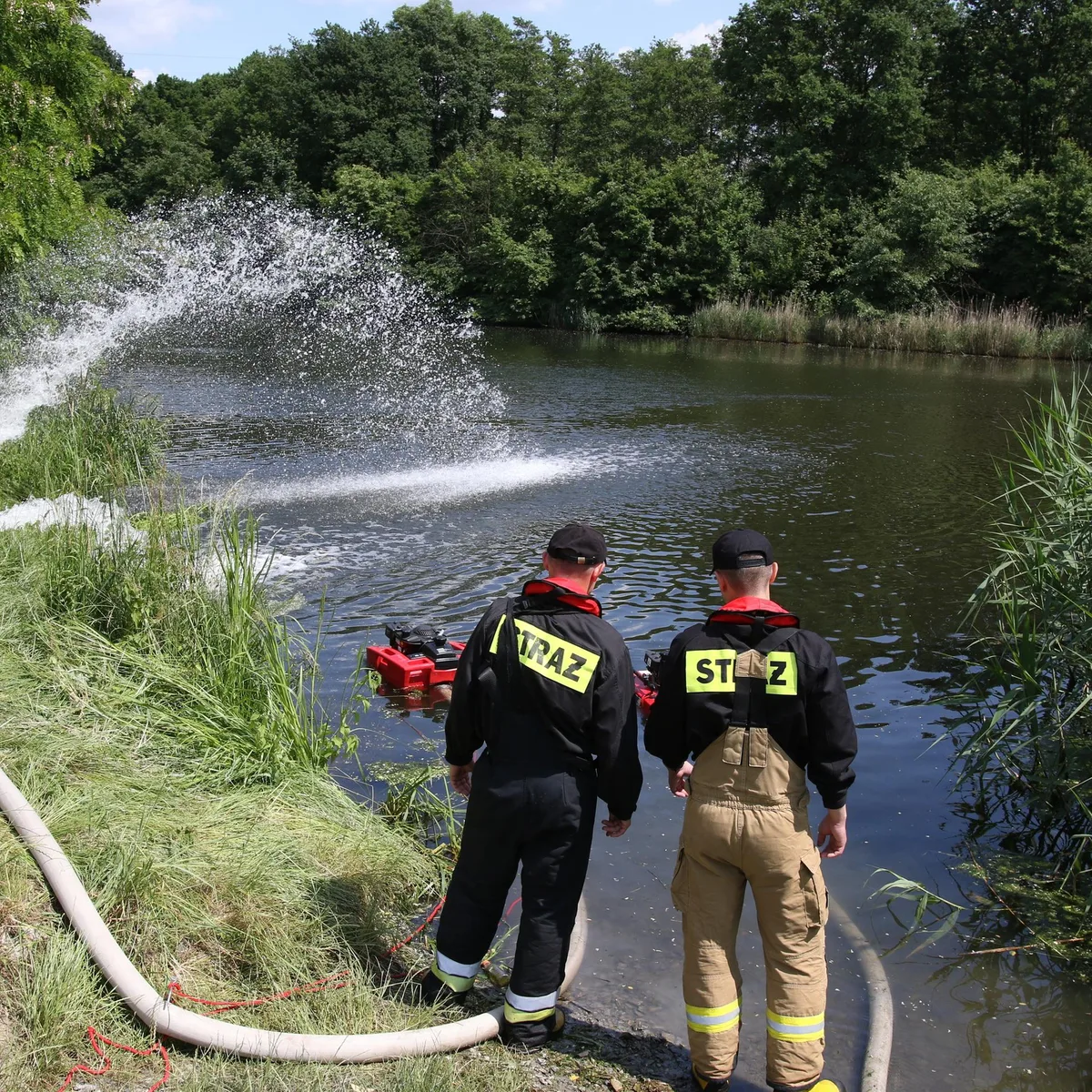 Fischsterben wegen Goldalgen-Blüte - Brandenburgs Landesumweltamt sieht derzeit keine Gefahr für die Oder