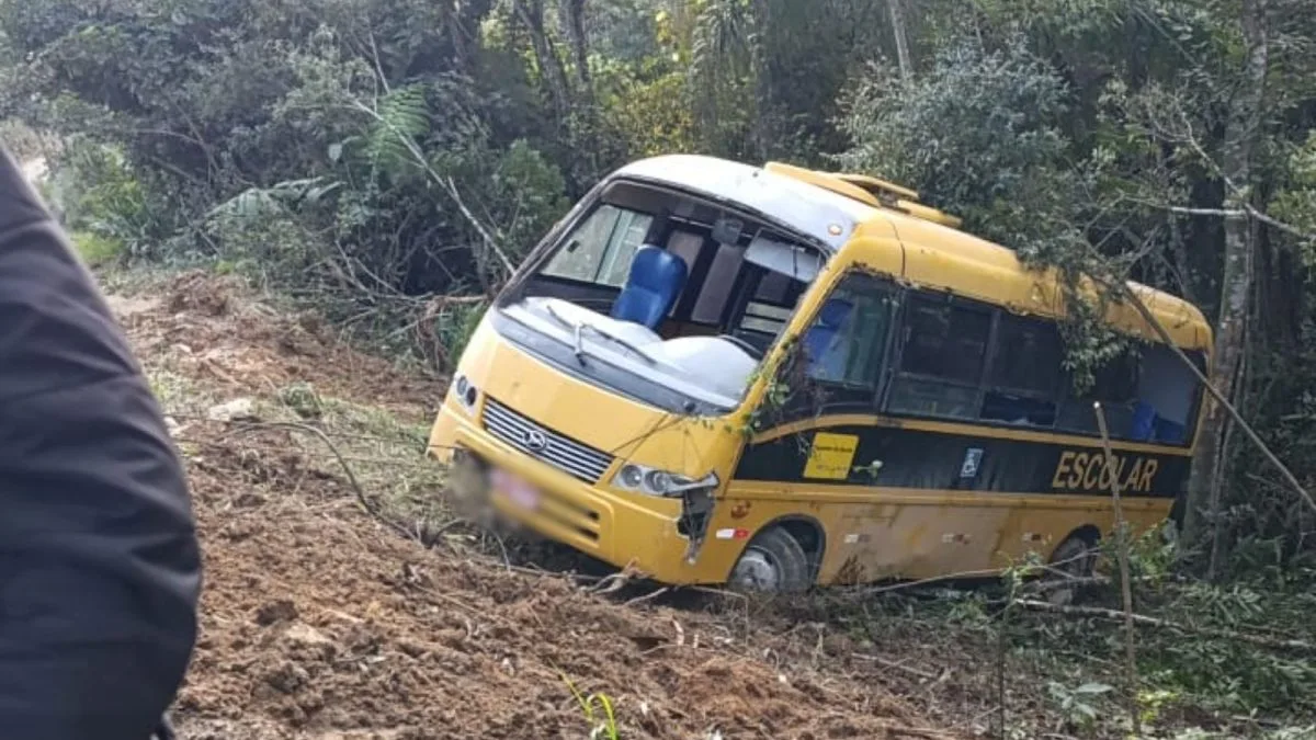 Crianças feridas após ônibus escolar tombar em ribanceira recebem alta em SC
