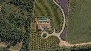 No interior de São Paulo, antiga fazenda de café une refúgios de alto padrão e vinhedos privativos