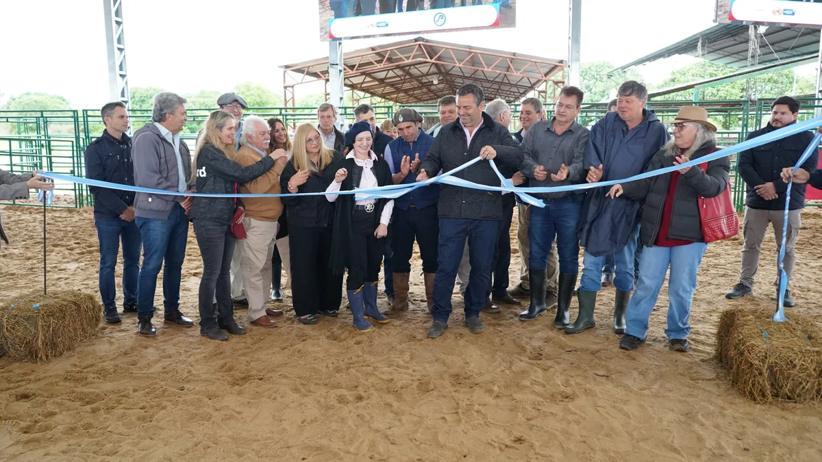 Con 26 cabañas y más de 145 reproductores, se inauguró la Nacional Primavera Braford en Chaco