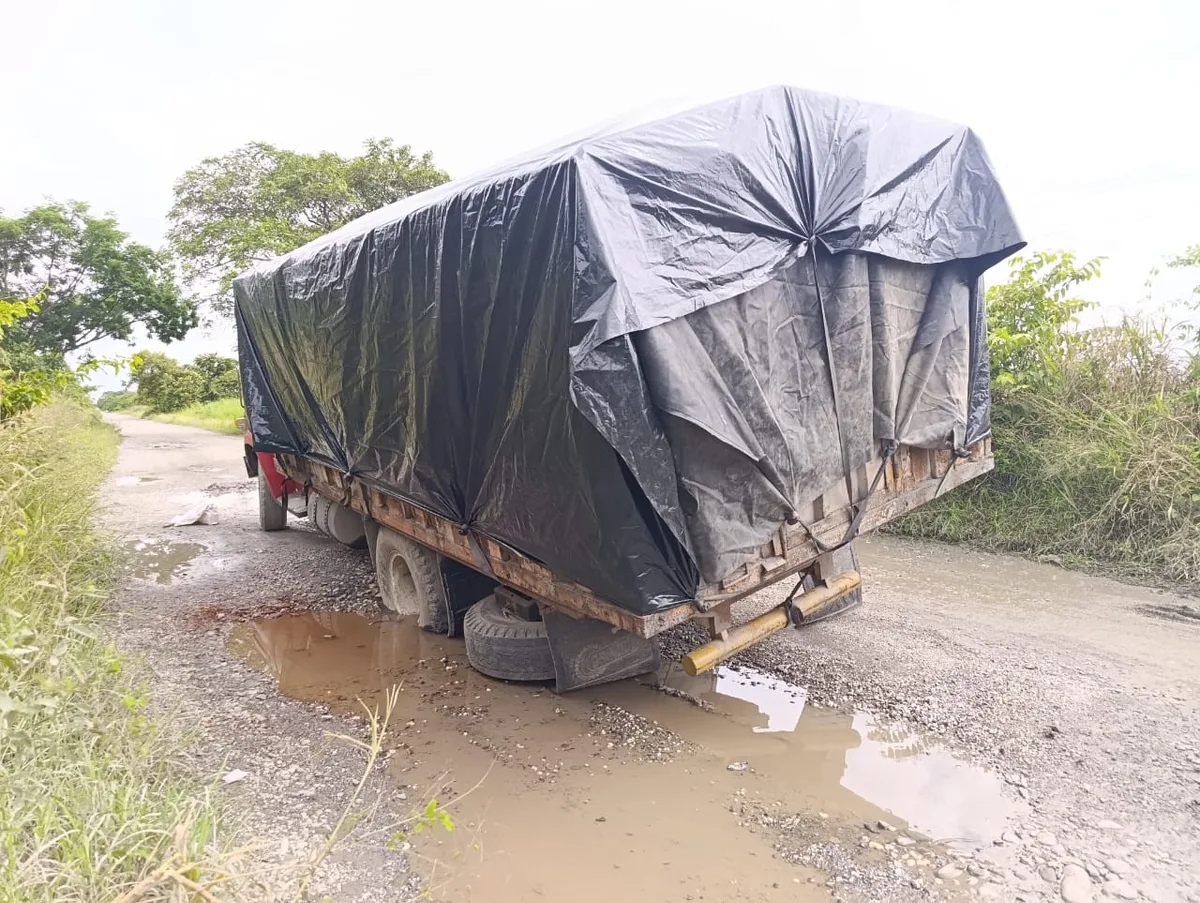 Camión cargado de maíz en Portuguesa cayó en enorme hueco y el conductor lanzó fuerte reclamo (VIDEO)