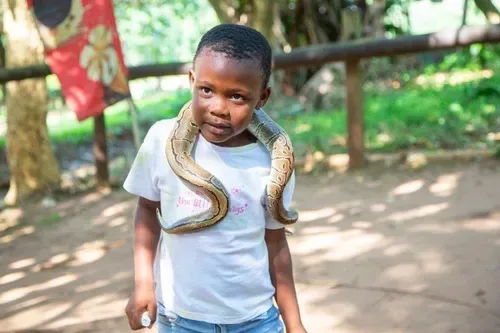 Crocworld brings back snake demonstrations and crocodile encounters