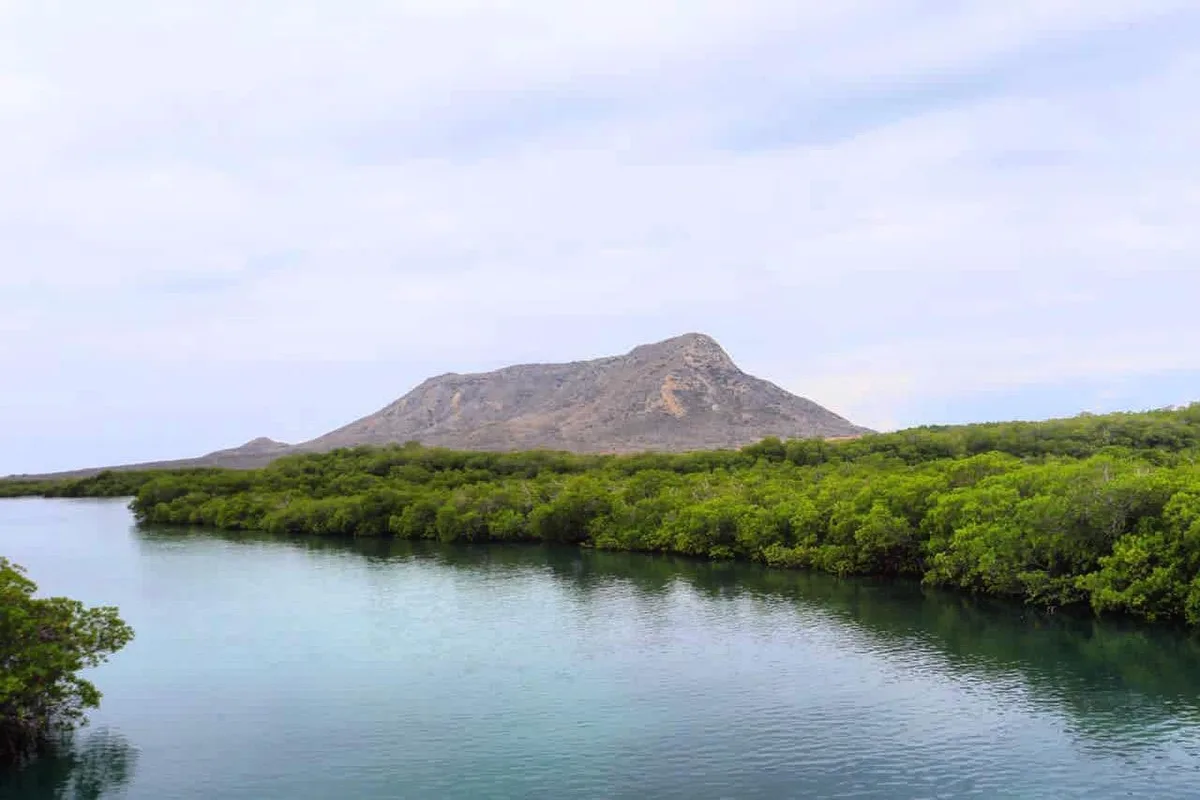 República Dominicana impulsa inversión millonaria para proteger ecosistemas y recursos hídricos