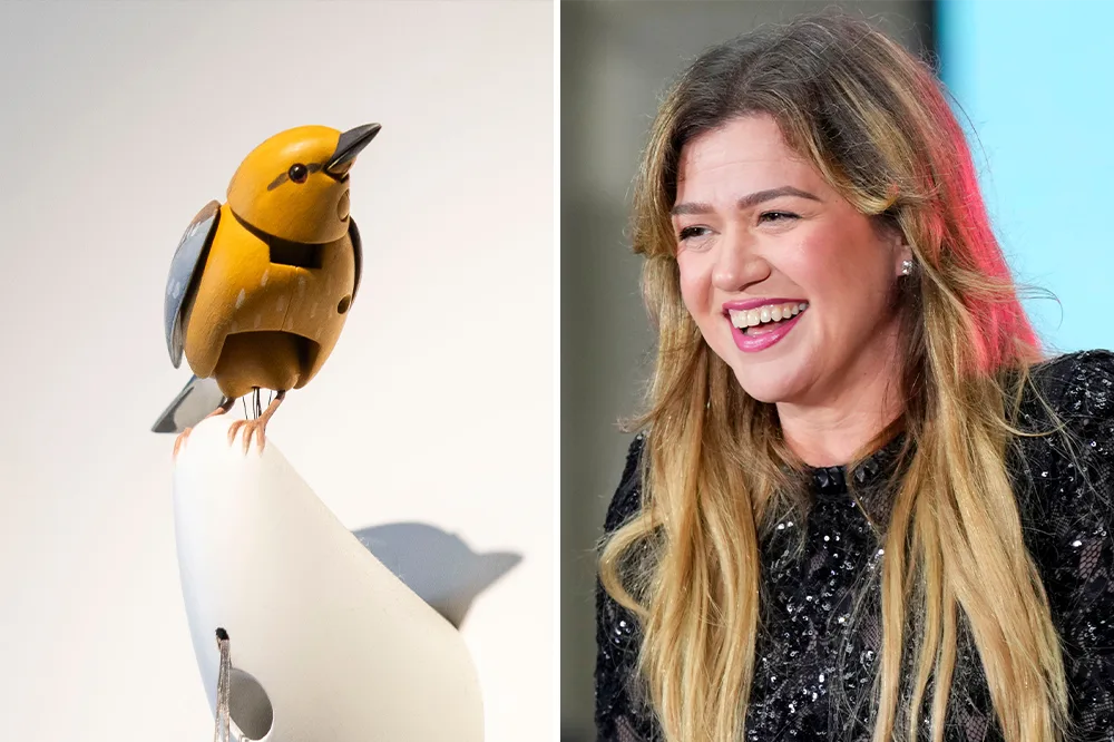 Yes, a Kelly Clarkson and Molly the Bird Halloween Costume Is Surprisingly Easy to Recreate With These Amazon Pieces
