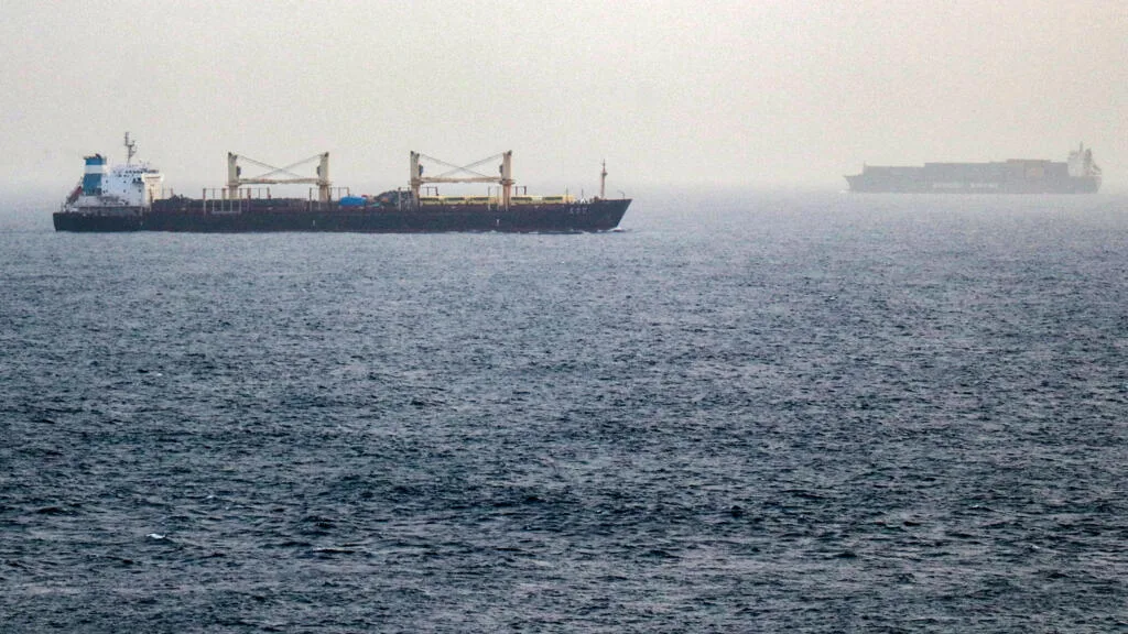 En direct : les Houthis du Yémen s'emparent d'une île clé au cœur du détroit de Bab el-Mandeb