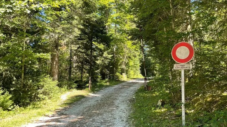 Doubs : trois mois après sa disparition à Jougne, le corps d'Aude Fagot retrouvé en Suisse voisine