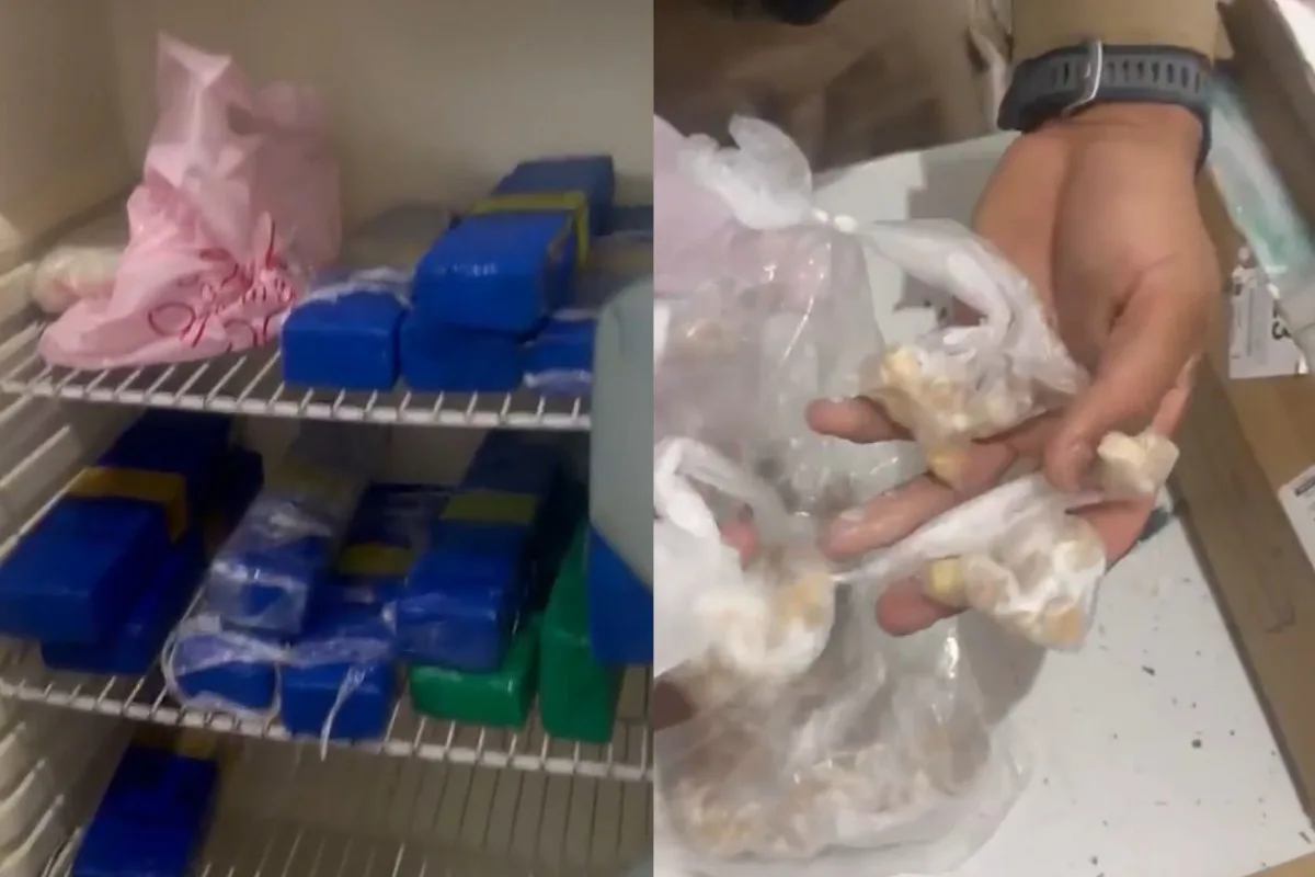 PM descobre laboratório de drogas em Contagem; uma mulher foi presa por tráfico