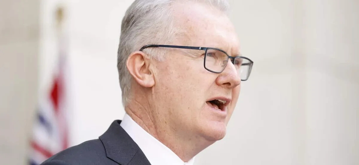 US-style ICE enforcement? Tony Burke quizzed on detention plans