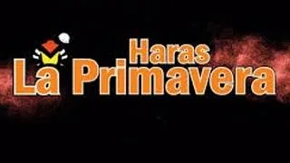 Haras La Primavera firma un hito inédito en el óvalo de La Rinconada