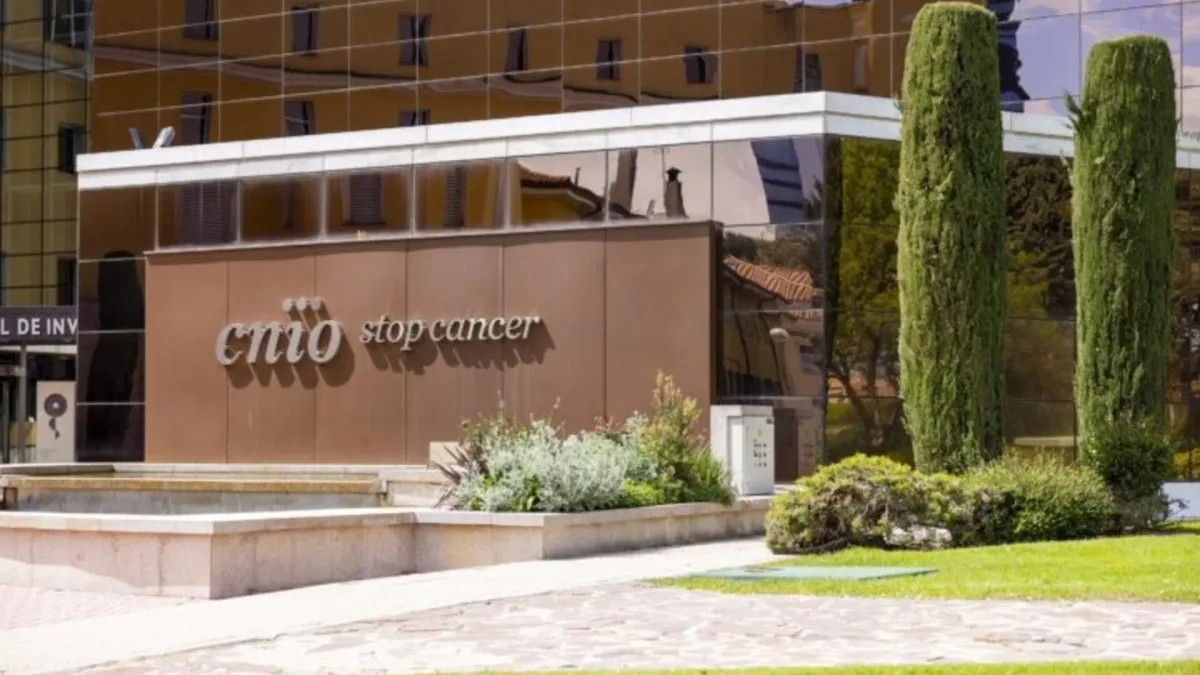 Condenan al CNIO a readmitir e indemnizar al alto cargo que denunció irregularidades