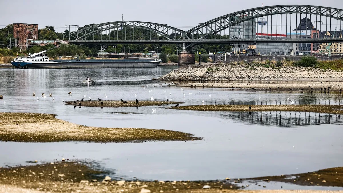 Der Rhein wird zur Goldgrube - Schatzsucher erzählt von seinen größten Funden