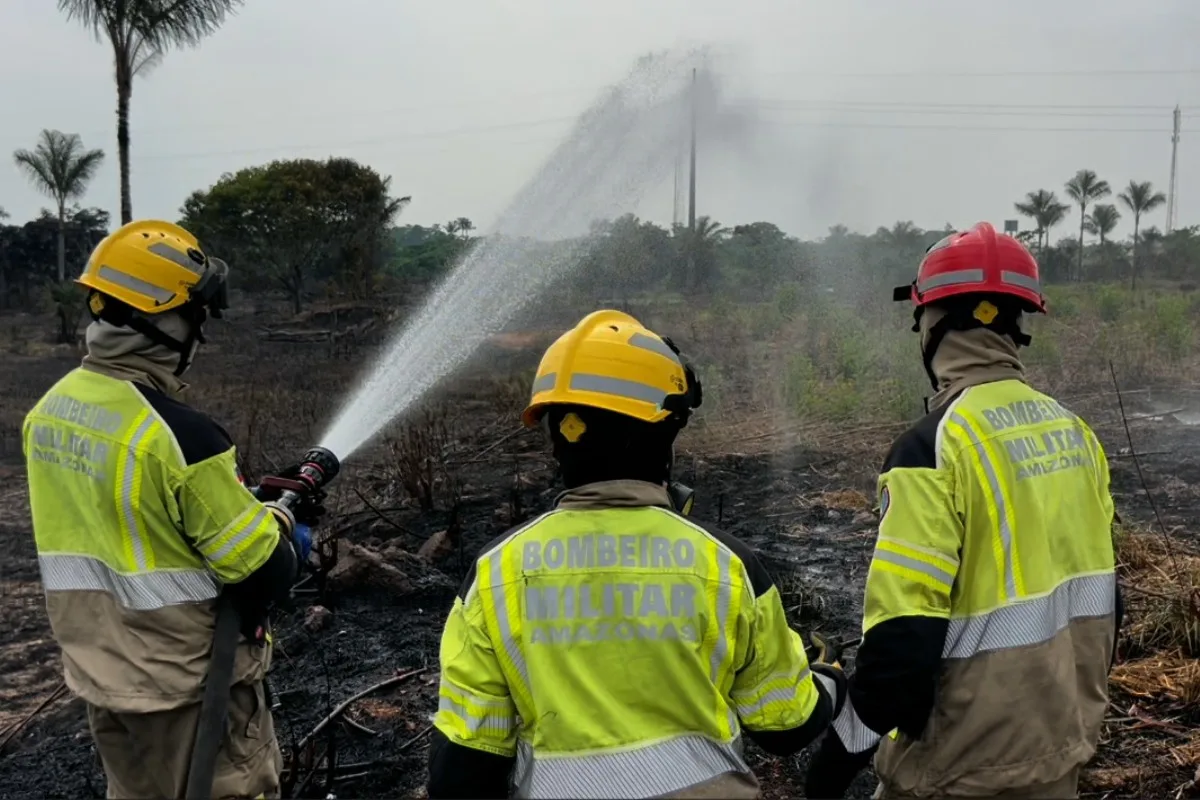 Incêndio florestal consome 700 hectares em Cacau Pirêra, distrito de Iranduba; Bombeiros suspeitam de crime ambiental
