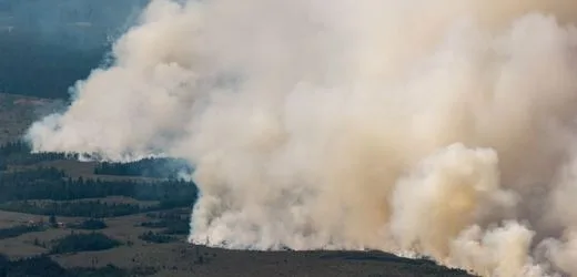 Monschau: 17 Häuser wegen Waldbrand im Hohen Venn evakuiert