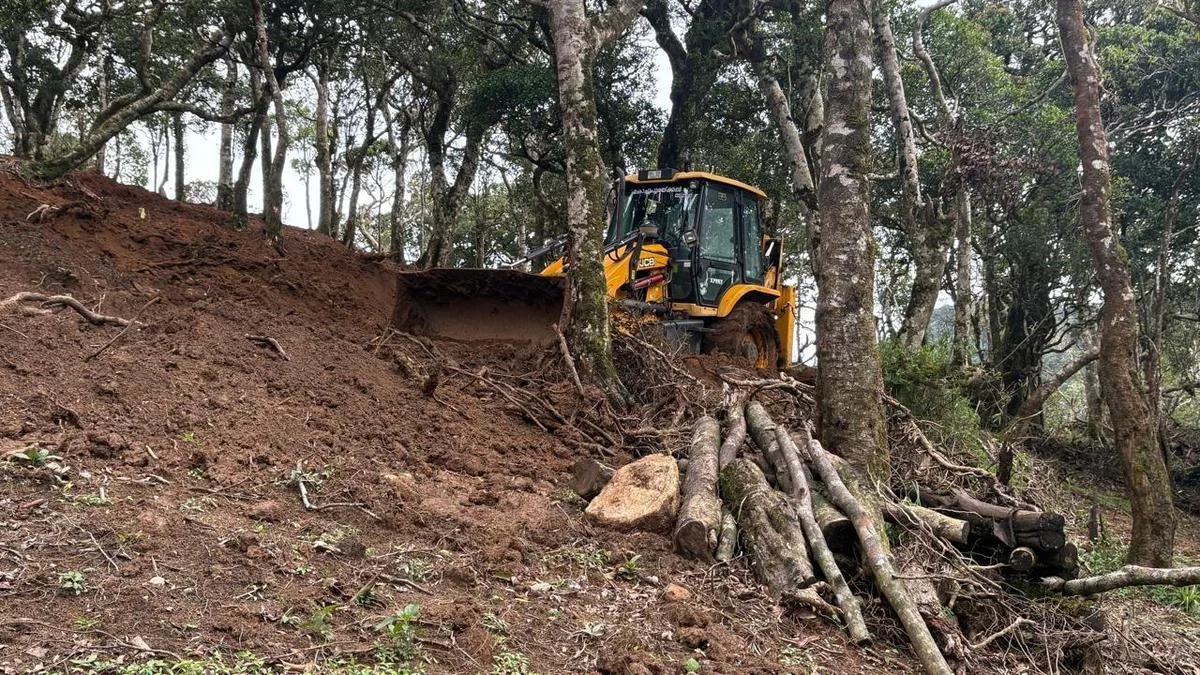 Keralam Forest department in a quandary over permission to fell trees