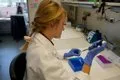 Un estudio halla una combinación de fármacos eficaz contra el cáncer de endometrio