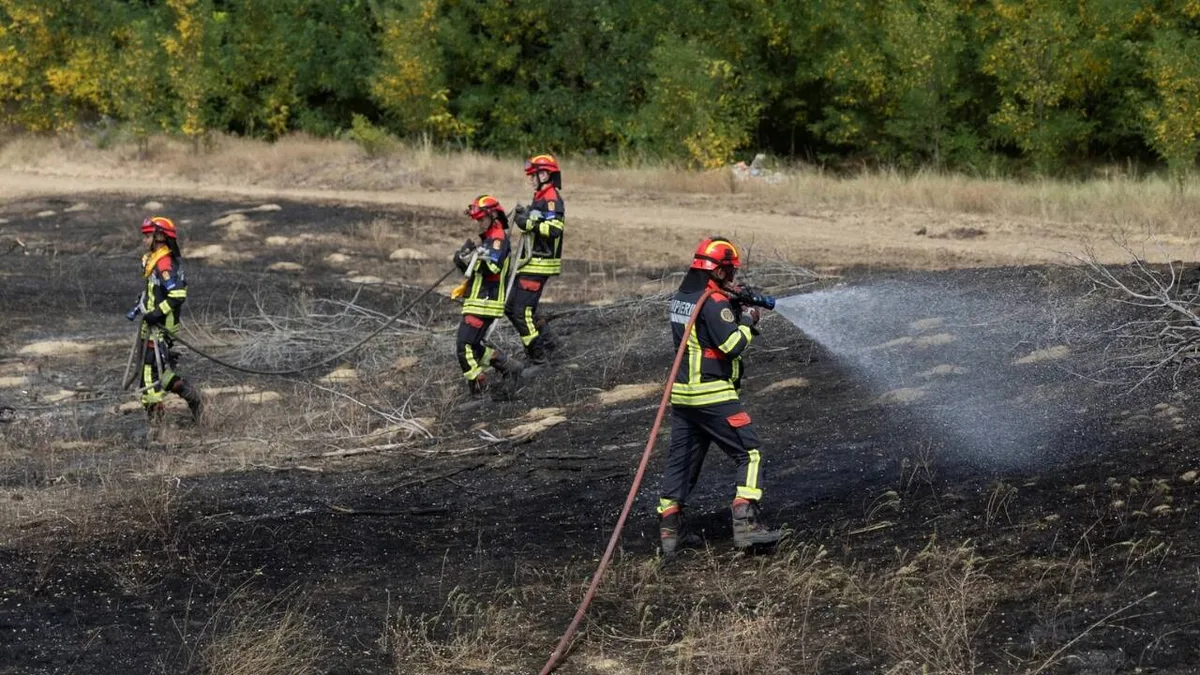 Wildfires stretch Europe as Serbia deploys Russian, EU help; Ankara blaze contained