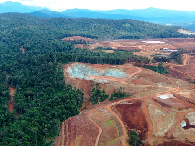 Voitures électriques: derrière le nickel des batteries, la destruction de la forêt indonésienne