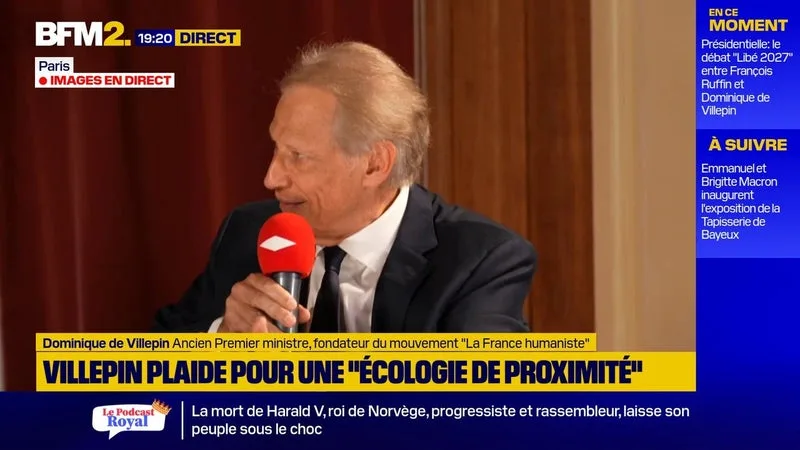 Climat: Dominique de Villepin souhaite "inscrire" dans la Constitution la neutralité carbone d'ici à 2050