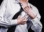 America's hidden heart attack crisis: 1 in 5 now have silent 'widowmaker' condition that DOUBLES risk even if you're slim and fit... yet doctors rarely test for it. Here's how to find out if you're in danger