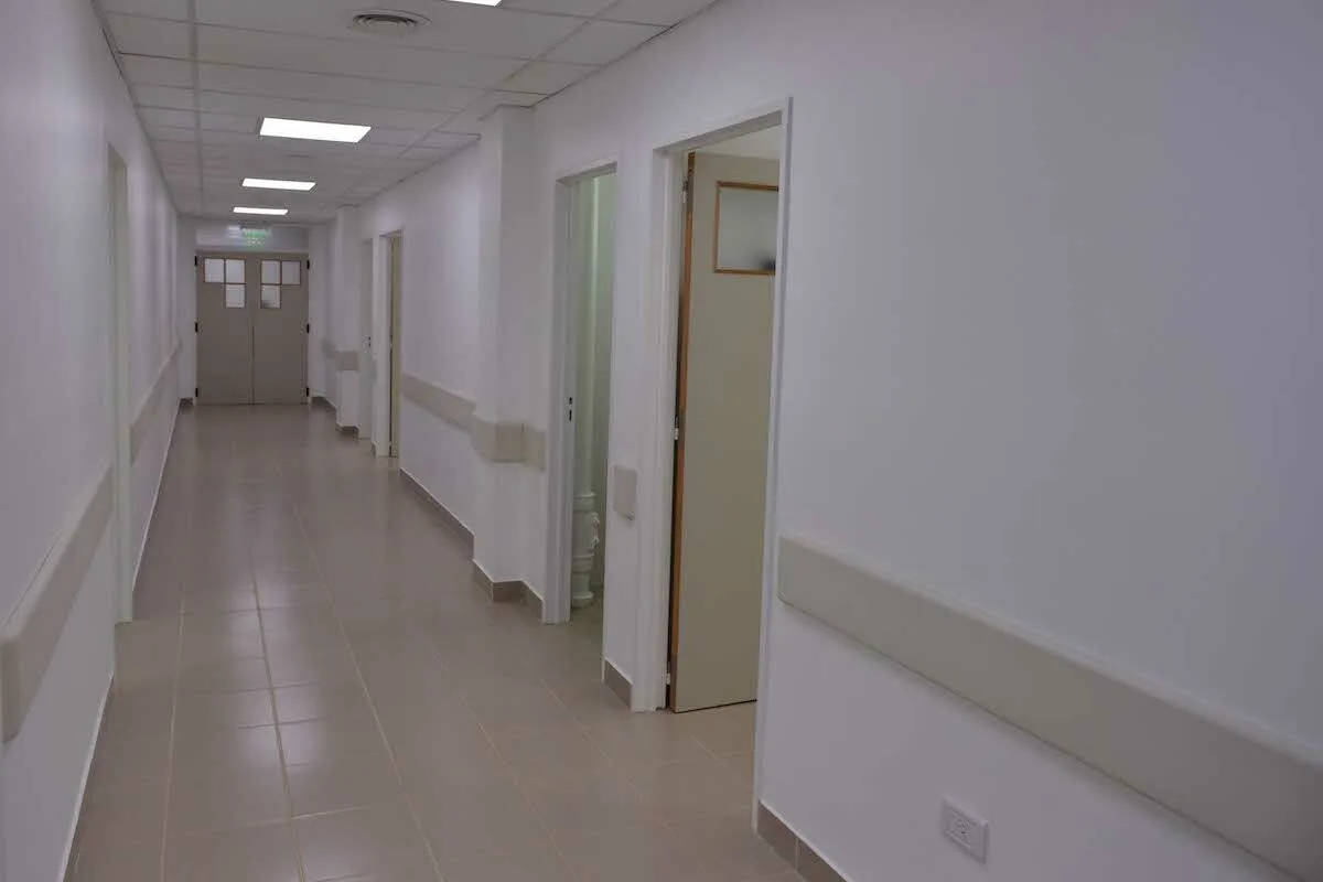 Praga de “insetos da fruta” em sala de hospital em Valongo
