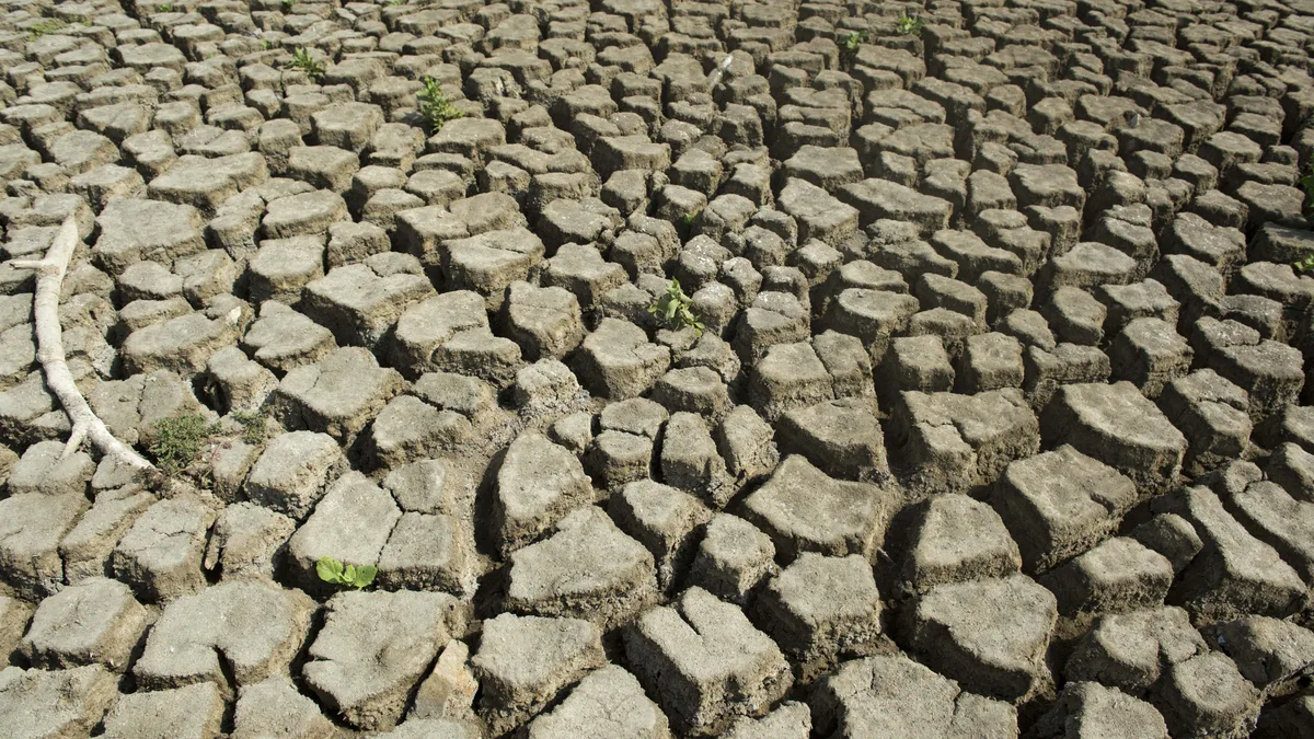 El Niño: l'Équateur en alerte rouge face au phénomène climatique en cours qui pourrait être le plus intense jamais enregistré