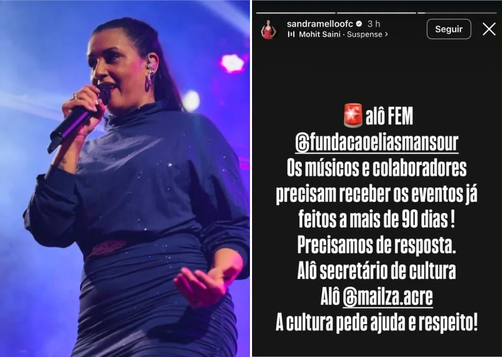 Cantora Sandra Mello cobra pagamento de músicos por shows organizados pela FEM