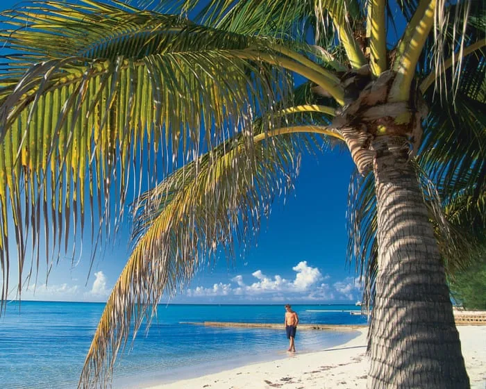 ‘A mockery’: how offshore tax havens are thwarting the UK’s transparency push