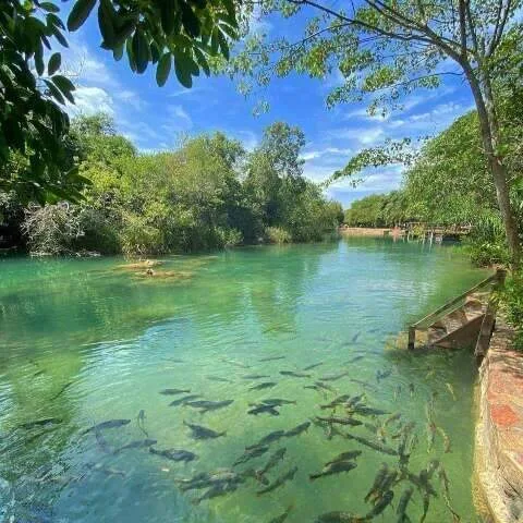 Ainda dá tempo de se programar e curtir Festival de Inverno em Bonito