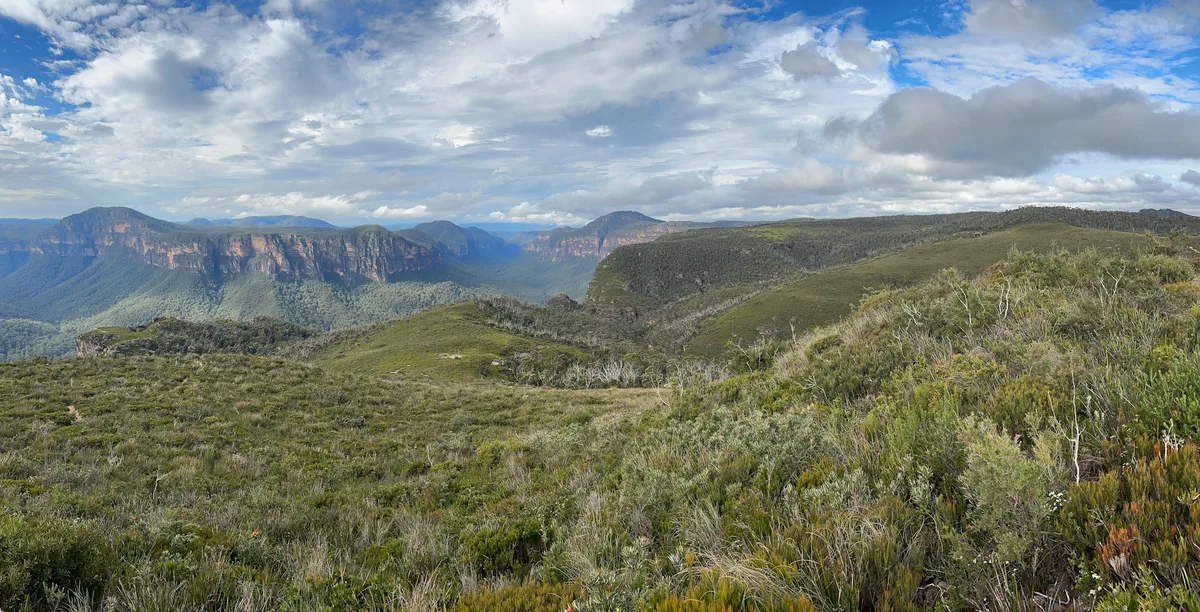 We could soon be able to track changes in Australia’s forests in near-real time – using satellites