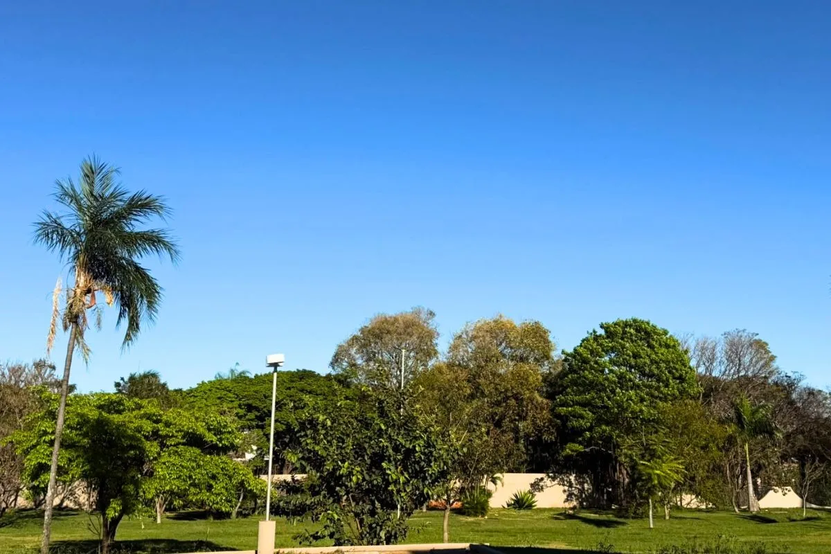 Frio marca amanhecer, mas MS pode ter variação de 19°C neste domingo; veja a previsão do tempo