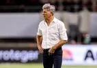 Transmissão ao vivo de Grêmio x Cruzeiro pelo Brasileirão: veja onde assistir