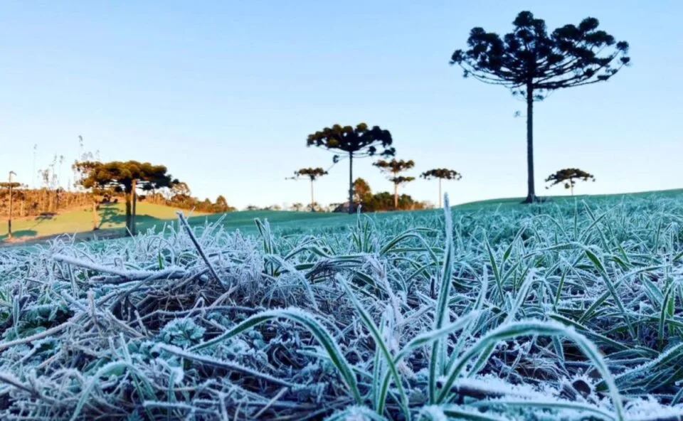Frio abaixo de zero: primeiro amanhecer da primavera registra temperaturas negativas