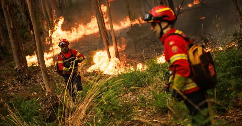 Mais de 100 operacionais em incêndio em Oliveira de Azeméis