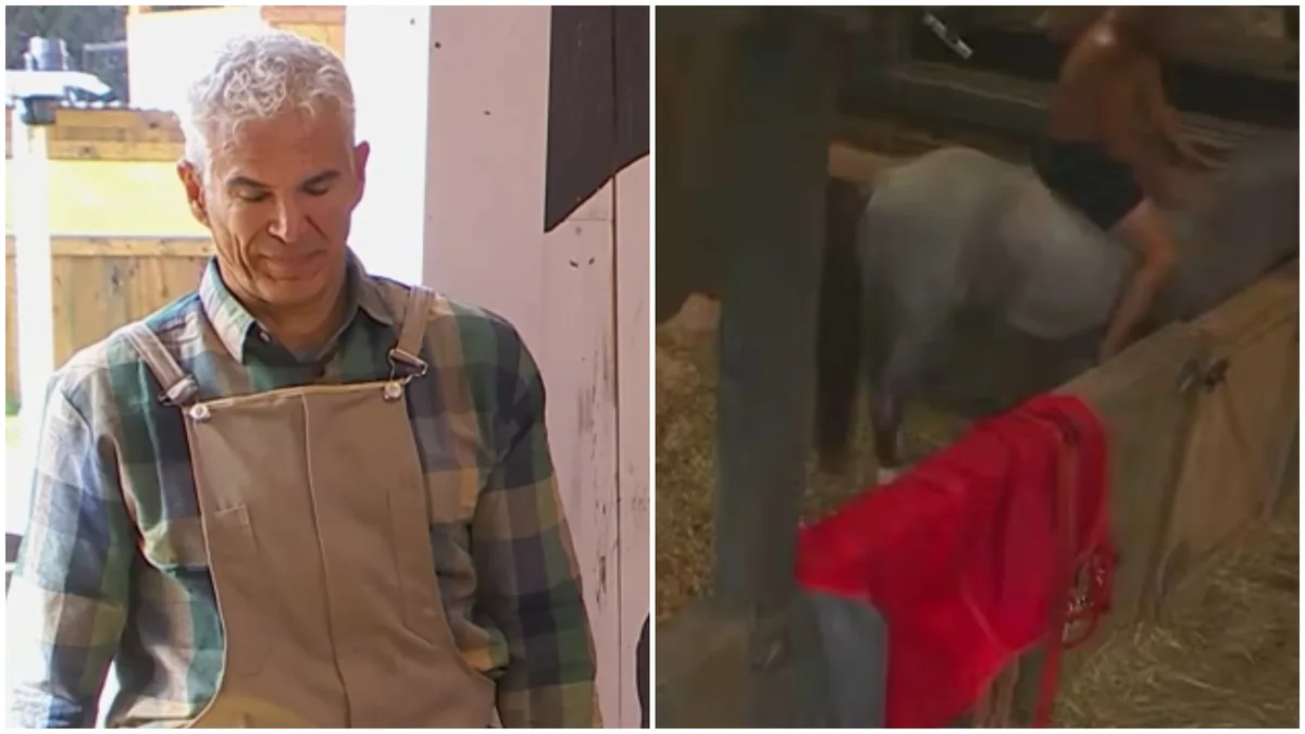 Aumentan los señalamientos contra Julio Camejo por supuesto maltrato animal en La Granja VIP 2