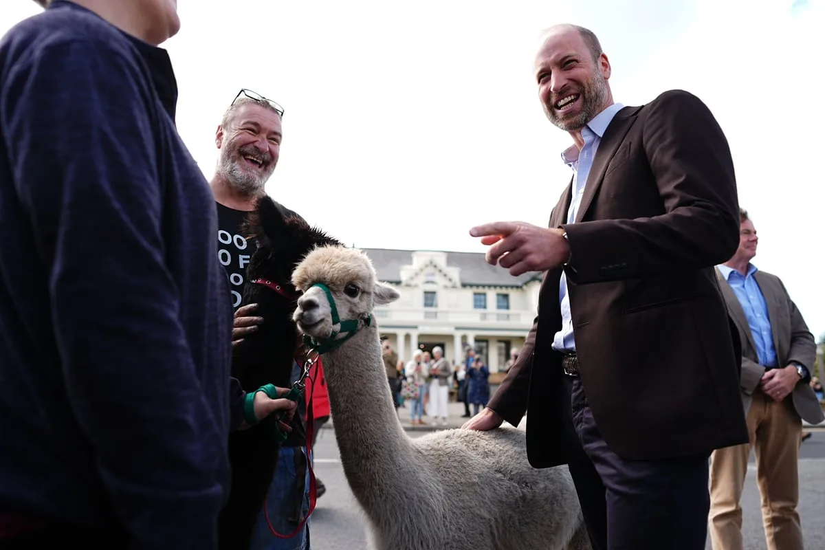 Prince of Wales strokes alpacas during visit to Dartmoor