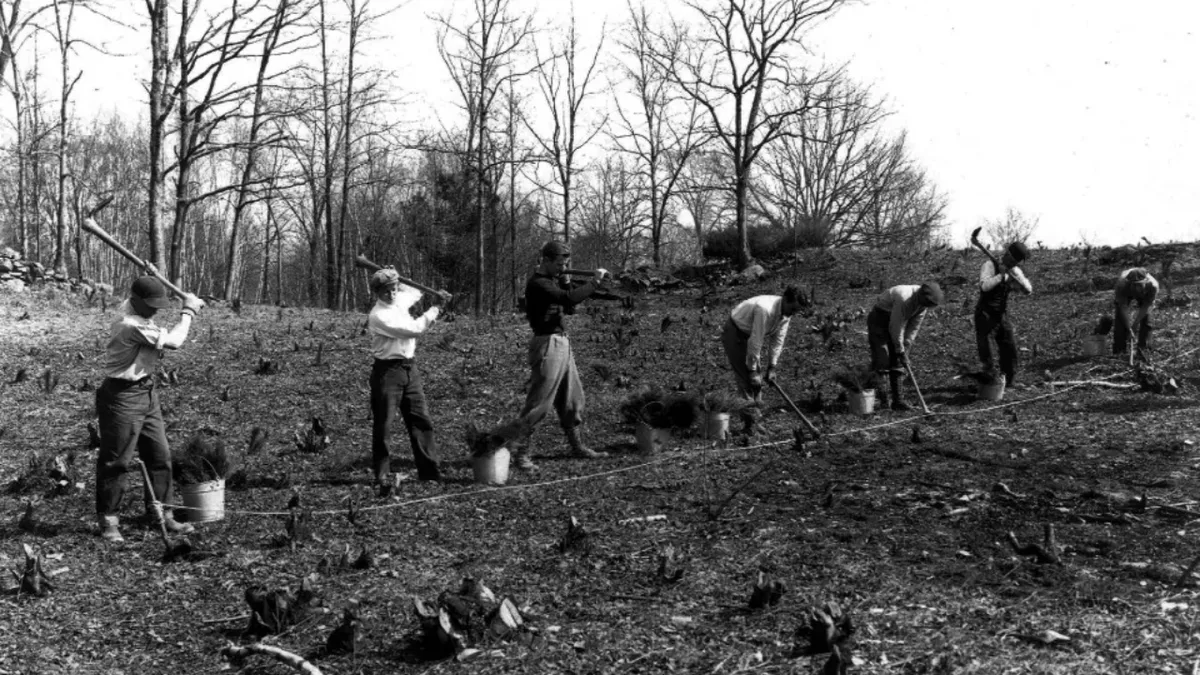 FDR expanded estate to 1,500 acres, planted 500,000 trees, then gave home to US