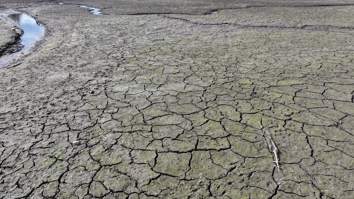 Super El Niño predicted to cause 451,000 more heat deaths: Which countries will suffer most?