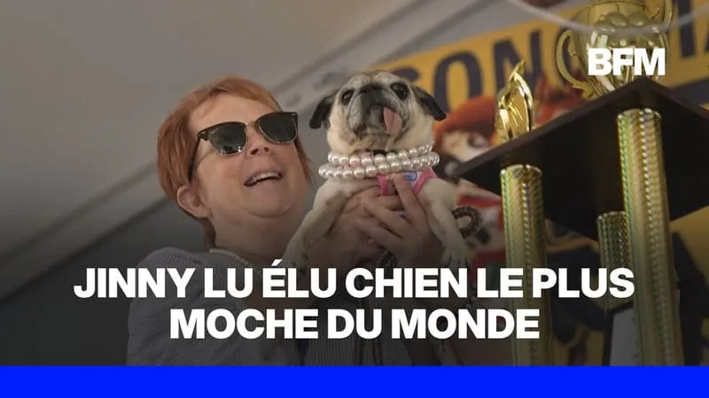 États-Unis: Jinny Lu remporte le concours du chien le plus laid du monde