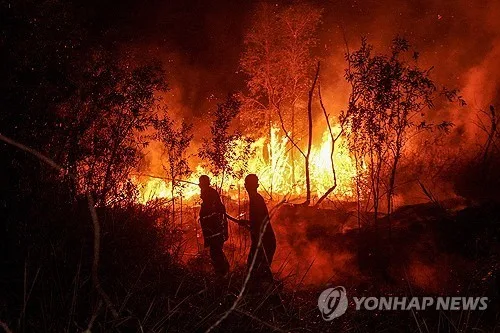 '최악 산불' 인니 재난관리청장 교체…형·측근 등 5명 비리의혹