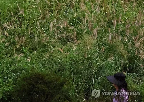전북 낮 기온 25∼29도…"일교차 크니 건강 관리 유의"