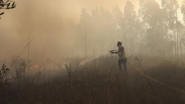 Proteção Civil diz que incêndio em Arcos de Valdevez já está dominado