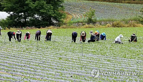 강원 내일까지 5∼40㎜ 비…낮 최고 30도