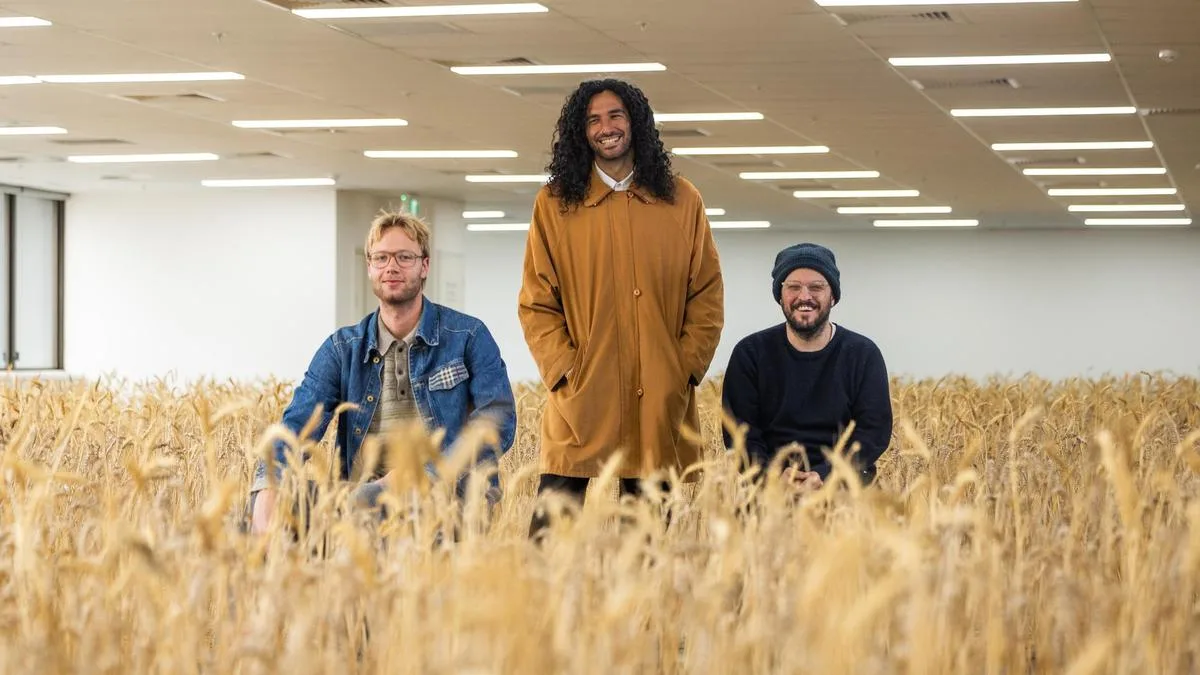 There Is Nothing You Need To Do In Here: Wheat field takes over CBD office in new immersive art installation